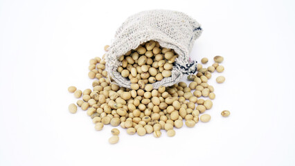 Closeup of Dried soybean or soya beans. Glycine max