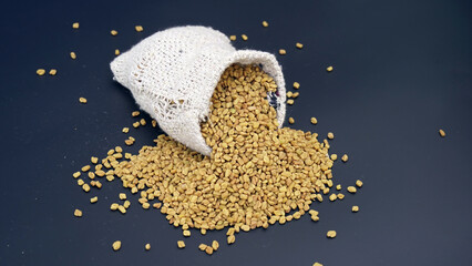 Dried fenugreek seeds or Methi Dana. hulba, heyseed, dari, blood sugar treatment - obrazy, fototapety, plakaty