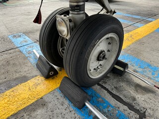 Front nose wheels of the landing gear of an aircraft parked on a yellow line and blue line. With...