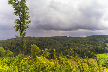 Regenwolken ziehen sich über dem Wald zusammen.,