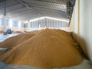 Interior of paddy rice bulk storage warehouse.