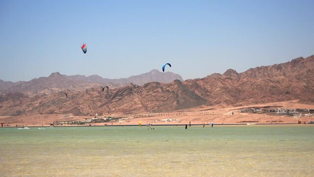 Kitesurfing in Dahab lagoon. Many surfers with colored parafoil wings catching the flow of wind. Best Kiteboarding Spots Worldwide