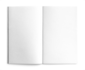 White Traveler's Notebook