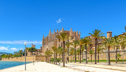 the famous cathedral of Palma de Mallorca - obrazy, fototapety, plakaty