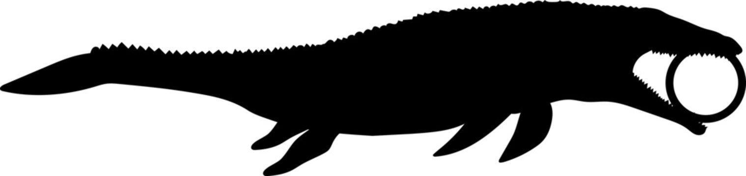 recommend clip art: Mosasaurus Dinosaur Silhouette. Dinosaur SVG Types of dinosaurs Dinosaur name breeds 