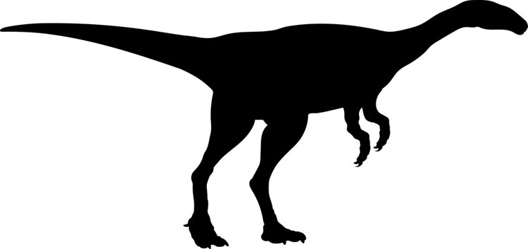 Coelurus Dinosaur Silhouette.  Dinosaur SVG Types of dinosaurs
