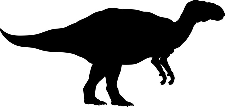 recommend clip art: Iguanodon Dinosaur Silhouette.  Dinosaur SVG Types of dinosaurs
                    