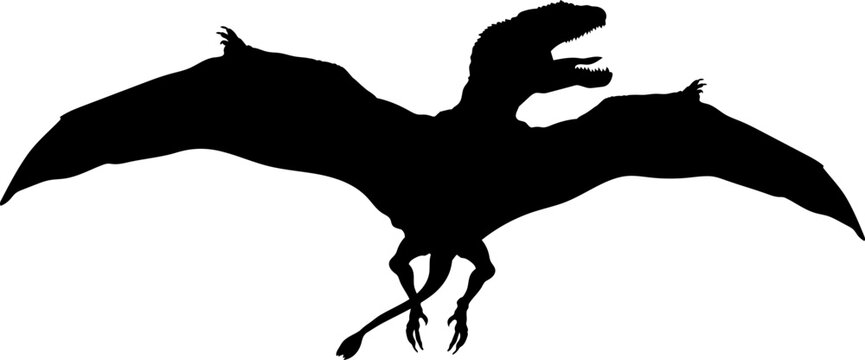Dimorphodon Dinosaur Silhouette.  Dinosaur SVG Types of dinosaurs
