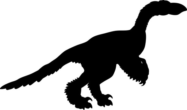 Microraptor Dinosaur Silhouette.  Dinosaur SVG Types of dinosaurs
