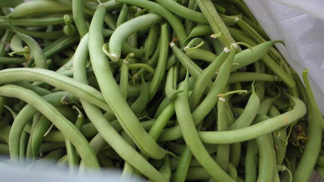 a bag of green beans,fresh beans close-up,