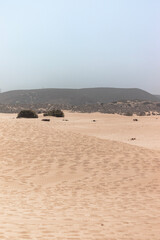 sand dunes on the beach