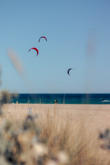 kite on the beach