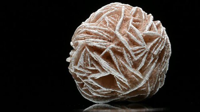 'Desert Rose' - Baryte (barium sulphate) rotating slowly against a black background