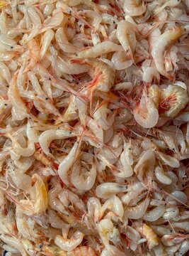 Small Sea shrimp in the fish market.this photo was taken from Chittagong,Bangladesh.