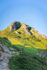 Wild chamois in High Tatras mountains on the way to Kasprowy Wierch during the summer sunset. Tatry Wysokie from Polish side have much to offer for hikers. Amaizing mountains, views and sceneries.