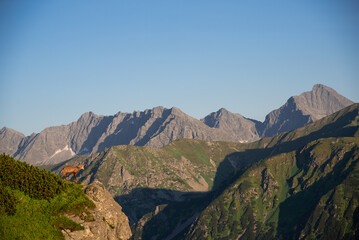 Wild chamois in High Tatras mountains on the way to Kasprowy Wierch during the summer sunset. Tatry Wysokie from Polish side have much to offer for hikers. Amaizing mountains, views and sceneries.