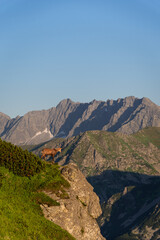 Wild chamois in High Tatras mountains on the way to Kasprowy Wierch during the summer sunset. Tatry...