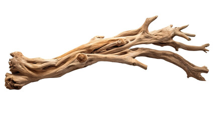 Driftwood isolated on a transparent or white background