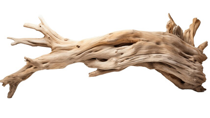 Driftwood isolated on a transparent or white background