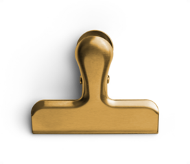 Gold Stainless Bag Clip 1