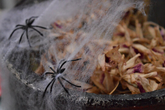 Teia de aranha com duas aranhas de pl&aacute;stico sobre um vaso de flores secas