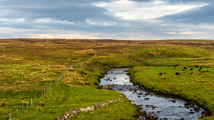 Fototapeta na wymiar isle of Skye, springtime landscape, Scotland, UK