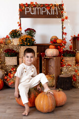 Child celebrating Thanksgiving. Kid holding pumpkin in pumpkin shop. Autumn fun crafts and art. Fall season decoration. - 655992939