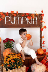 Child celebrating Thanksgiving. Kid holding pumpkin in pumpkin shop. Autumn fun crafts and art. Fall season decoration. - 655994527