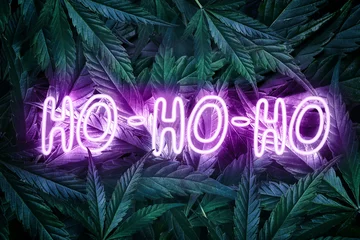 Fotobehang New Year green background made of cannabis leaves with neon text ho-ho-ho © Irina