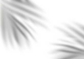 Foto op Canvas black blur leaf shadow © Rezual