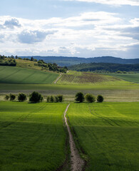 Fototapeta na wymiar Czech Grassfields