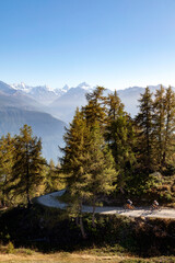 Paysage de montagne pittoresque dans les Alpes suisses avec la crête des Alpes en arrière plan et une route d'alpage avec deux mountain bikes 