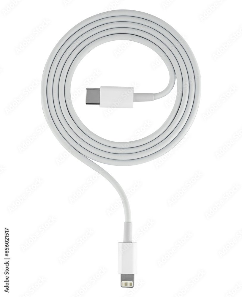 Wall mural cable with type-c connector