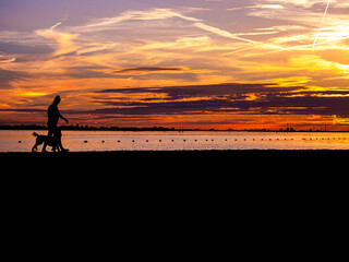 silhouette of a person and a dog on the beach at sunset