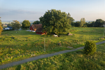 Beautiful rural landscape in European village in Sweden during sunset. Grazing horses, farm, red wooden houses. 