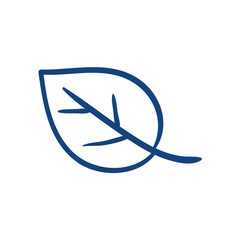 Leaf. Hand drawn vector illustration