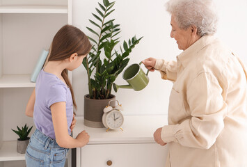 Little girl with her grandmother watering houseplant at home