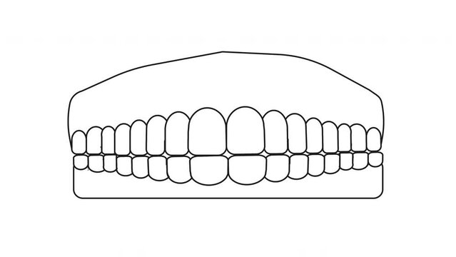 animated video of sketches forming teeth and gums