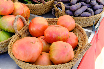 Cesta de Tomates de la Huerta