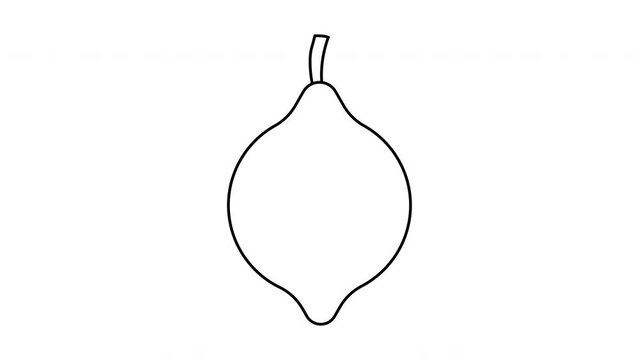 animated video of a sketch forming a lemon