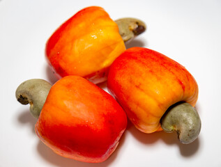 Fresh ripe cashew fruits isolated on white background. Cashew nut. (Anacardium occidentale)