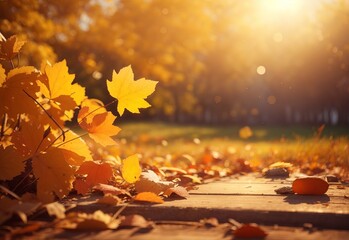 Naklejka na ściany i meble Beautiful autumn landscape with Colorful foliag