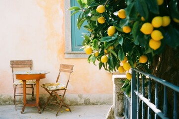 lemon tree with fruits on a sunny day growing near a mediterranean building