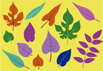 Vector colorful leaves set isolated 