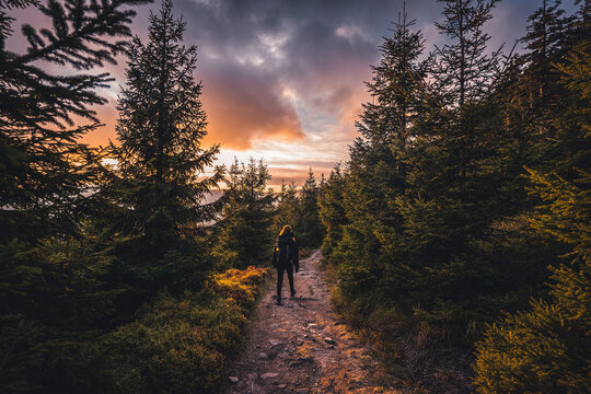 Young woman walking on a gravel path in forest, during sunset in czech mountains. Beautiful sky on spring.