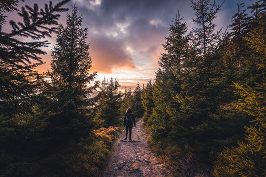 Young woman walking on a gravel path in forest, during sunset in czech mountains. Beautiful sky on spring.