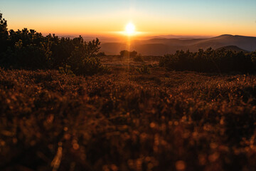Beautiful nature landscape during sunset, sunrise, Europe, Czech Republic, mountains, hills,...