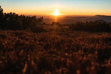 Rolgordijnen Beautiful nature landscape during sunset, sunrise, Europe, Czech Republic, mountains, hills, Krkonose, wide landcape © Tomas