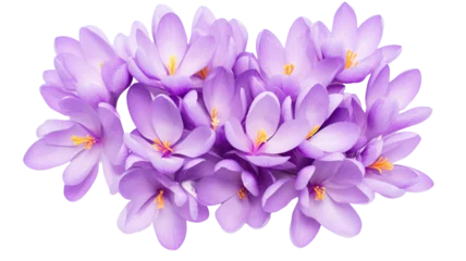 Foto op Plexiglas Purple crocus flowers isolated on a white background. Flat lay, top view  © PNG