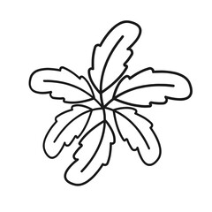 black and white flower vector, floral black design.